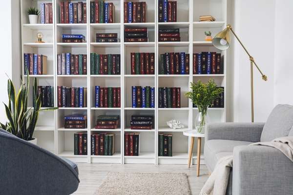 Sofa And Bookcase Creates A Room Within A Room