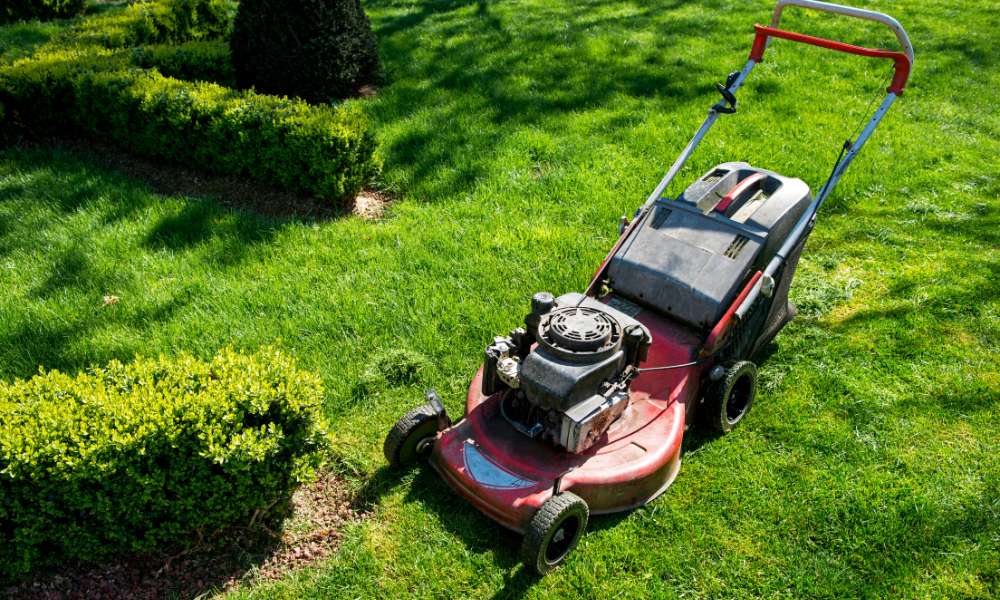 Outdoor Lawn Mower Blade Shaping Ideas