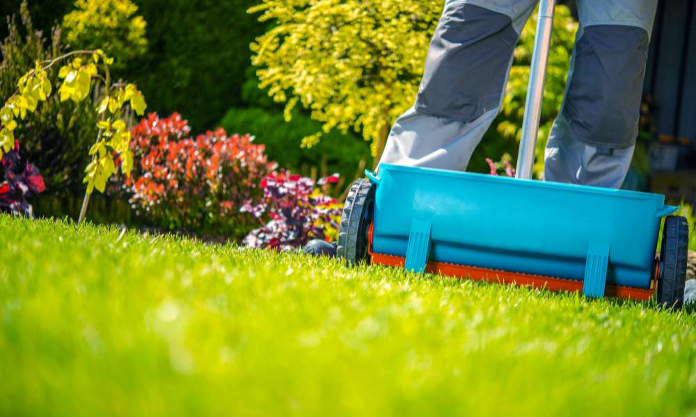 When should i fertilize my lawn